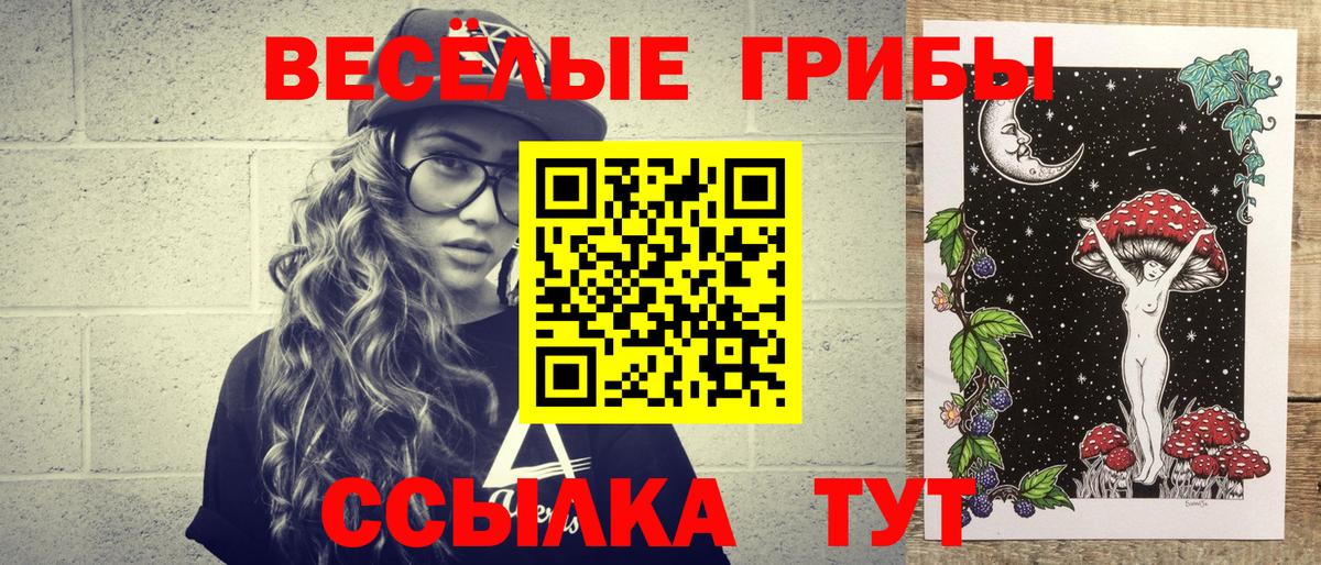 Чайковский  Псилоцибиновые грибы ЛСД  Галлюциногенные грибы ЛСД  Вход с VPN 